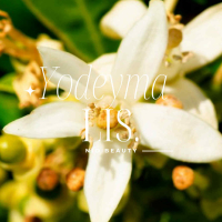 Lis Damesparfum Yodeyma 50 Ml